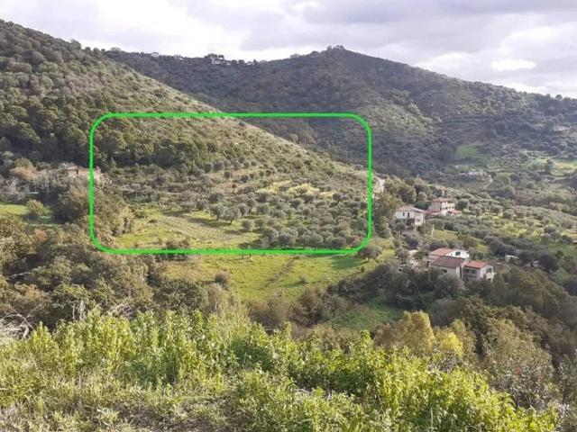 Terreno in vendita a Castellabate