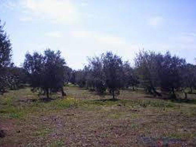 Terreno in vendita a Case Buffa, Castellammare Del Golfo
