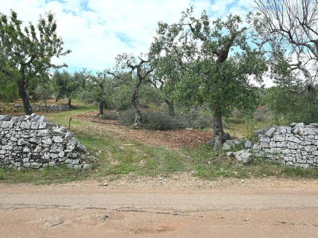 Terreno in vendita a Puglia, Bari
