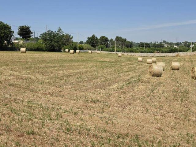 Terreno in vendita a Puglia, Bari