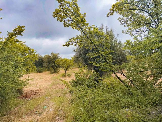 Terreno in vendita a Puglia, Bari