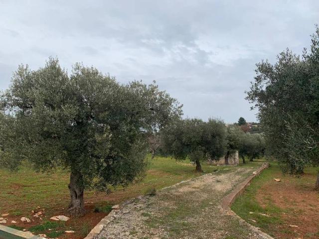Terreno in vendita a Monte Cipolla, Puglia