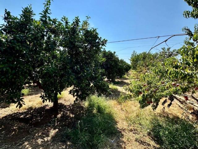 Terreno in vendita a Puglia, Taranto