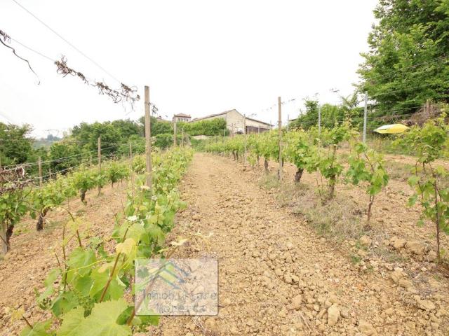 Terreno in vendita a Piemonte, Alessandria