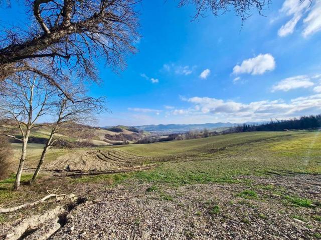 Terreno in vendita a Tresinaro - Secchia, Re