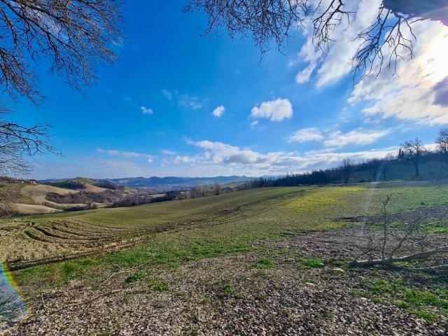 Terreno in vendita a Tresinaro - Secchia, Re