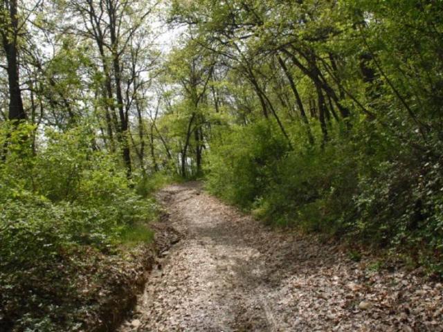 Terreno in vendita a Tresinaro - Secchia, Re