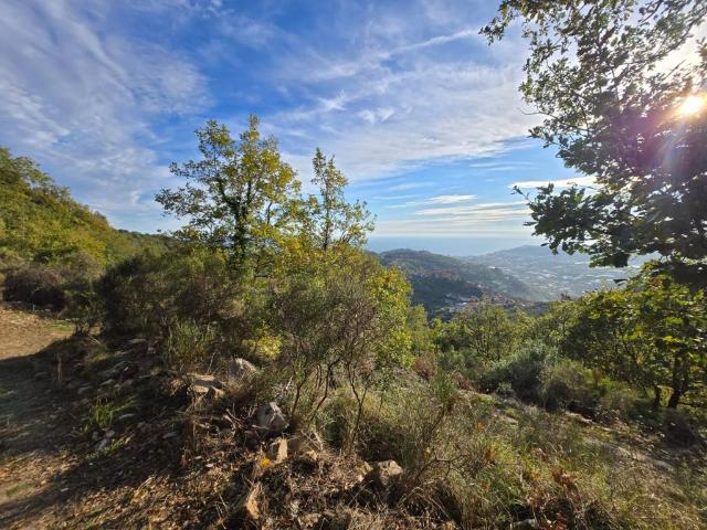 Terreno in vendita a Castellaro, Liguria