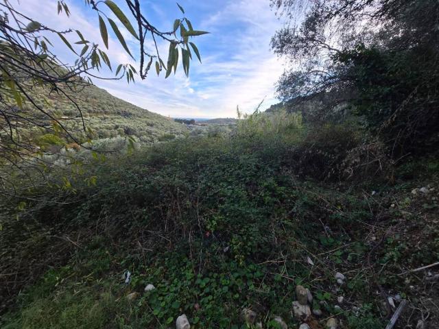 Terreno in vendita a Castellaro, Liguria