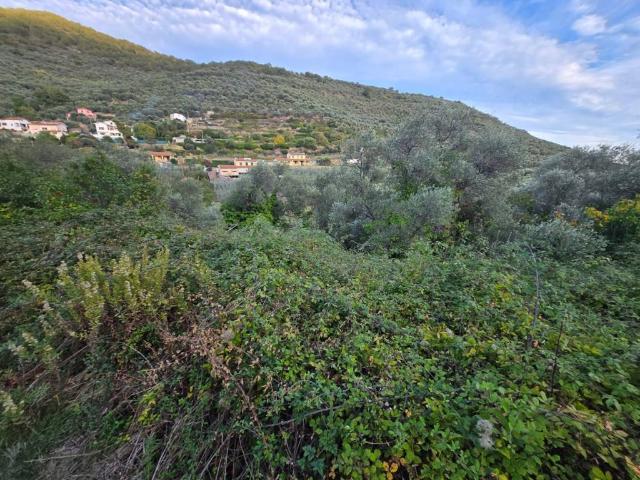 Terreno in vendita a Castellaro, Liguria