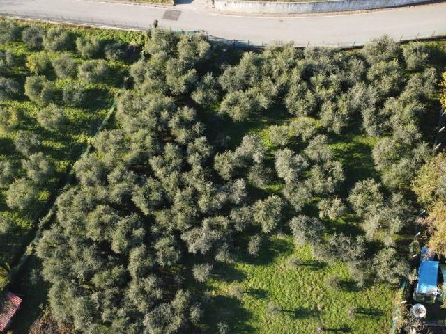 Terreno in vendita a Tagliuno, Castelli Calepio