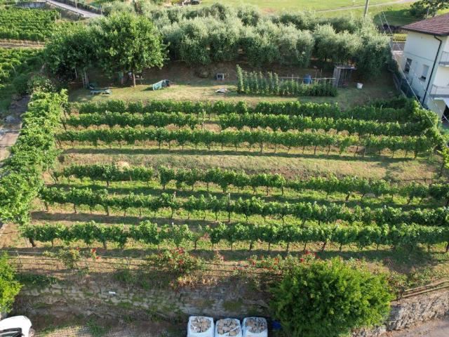 Terreno in vendita a Tagliuno, Castelli Calepio