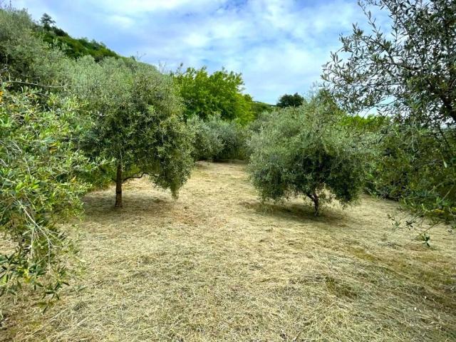 Terreno in vendita a Tagliuno, Castelli Calepio