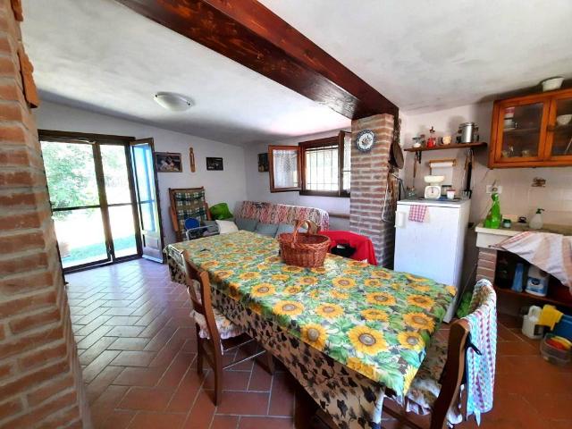 Terreno in vendita a Castellina Marittima, Toscana