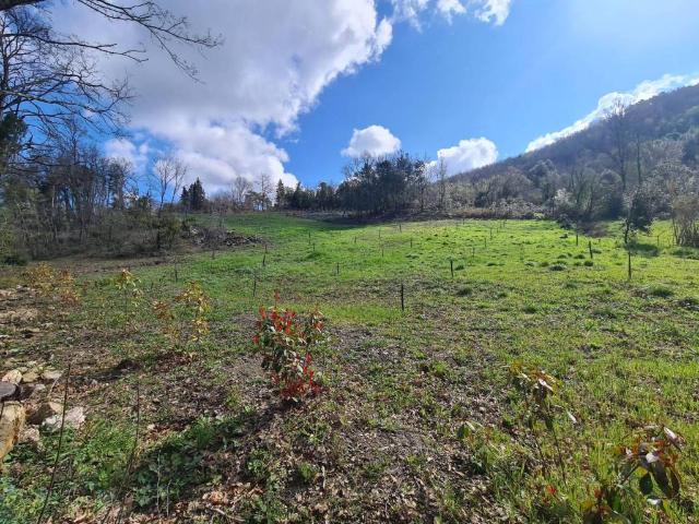 Terreno in vendita a Castellina Marittima, Toscana