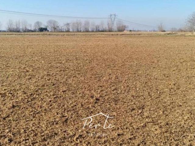 Terreno in vendita a Castellucchio, Lombardia
