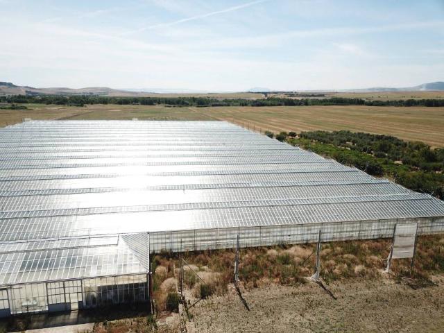 Terreno in vendita a Puglia, Foggia