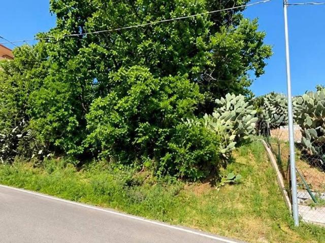 Terreno in vendita a Castell'umberto, Sicilia