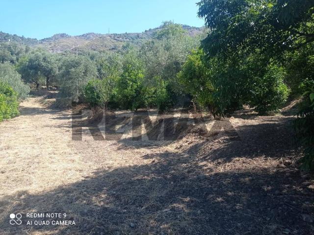 Terreno in vendita a Castelmola, Sicilia