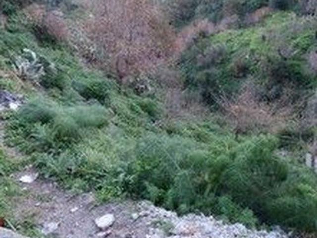 Terreno in vendita a Petralia, Castelmola