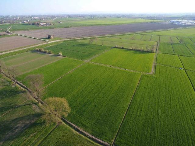 Terreno in vendita a Terra di Mezzo, Re