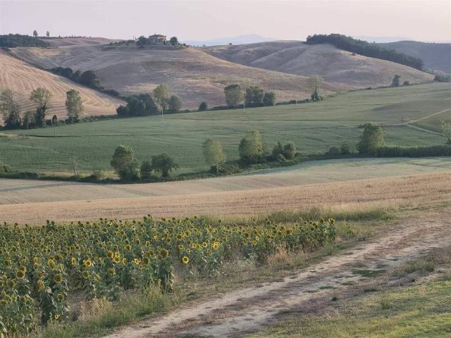 Terreno in vendita a Castelnuovo Berardenga, Toscana