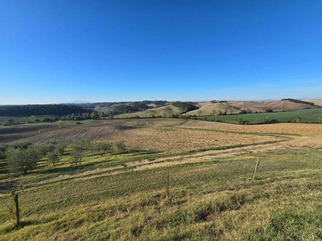 Terreno in vendita a Castelnuovo Berardenga, Siena
