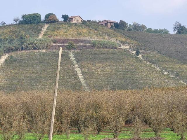 Terreno in vendita a Piemonte, Asti