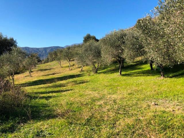 Terreno in vendita a Castelnuovo Cilento, Campania