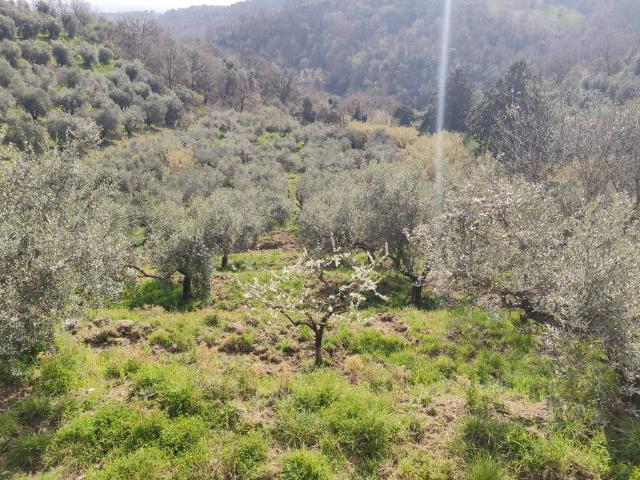 Terreno in vendita a Roma Capitale, Lazio