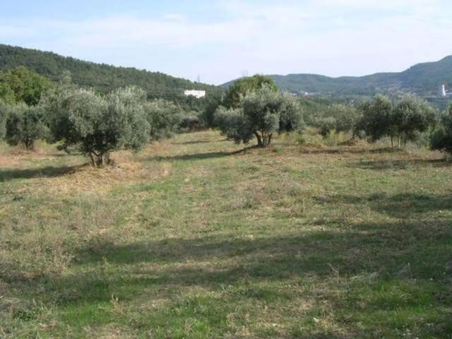 Terreno in vendita a Castelnuovo Val Di Cecina, Toscana