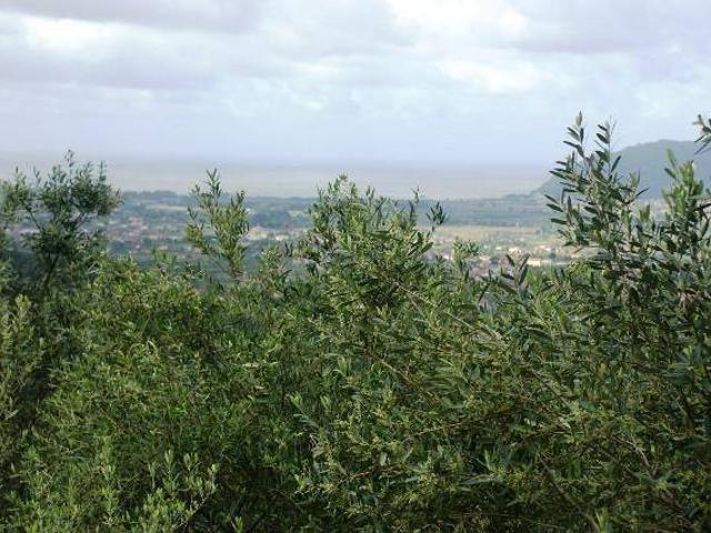Terreno in vendita a Cerreta, Castelnuovo Magra