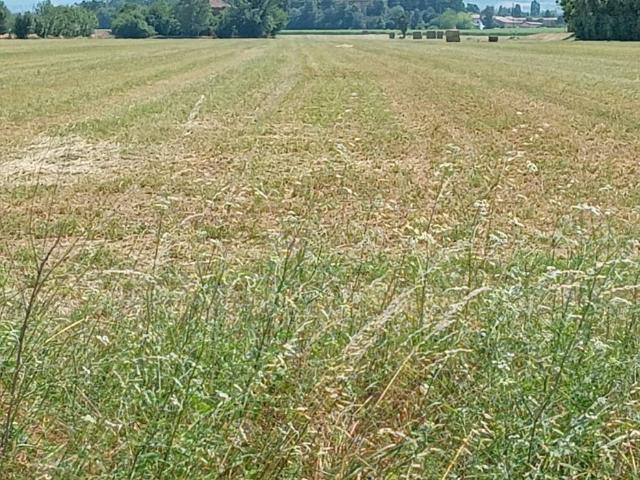 Terreno in vendita a Quattro Madonne, Castelnuovo Rangone