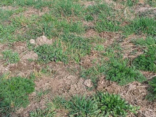 Terreno in vendita a Comunità Valsugana e Tesino, Castelnuovo Valsugana