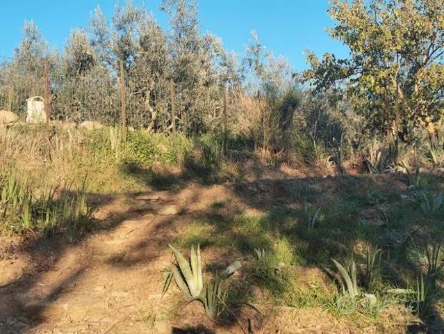 Terreno in vendita a Unione di Comuni Valdarno e Valdisieve, Reggello