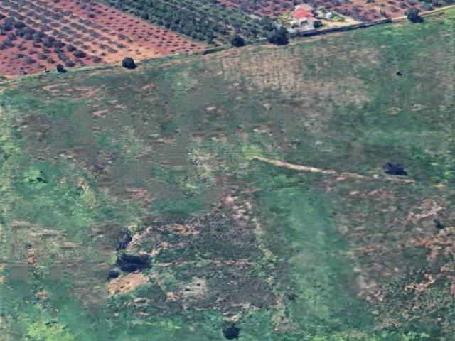 Terreno in vendita a Castelvetrano, Sicilia