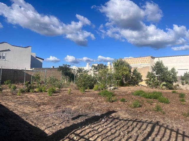 Terreno in vendita a Castelvetrano, Sicilia