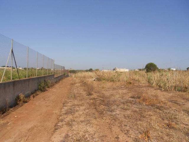 Terreno in vendita a Castelvetrano, Sicilia