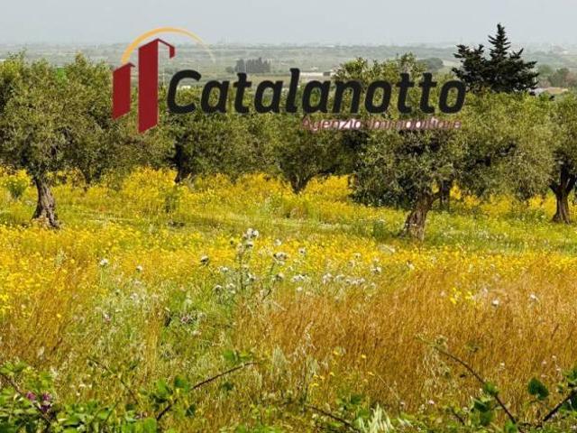 Terreno in vendita a Castelvetrano, Sicilia