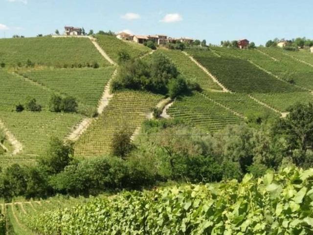 Terreno in vendita a Castelvetrano, Sicilia