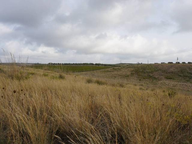 Terreno in vendita a Castelvetrano, Sicilia