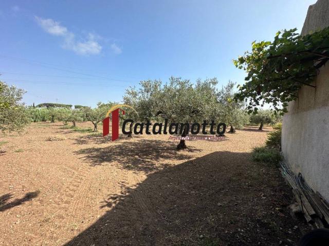 Terreno in vendita a Castelvetrano, Sicilia