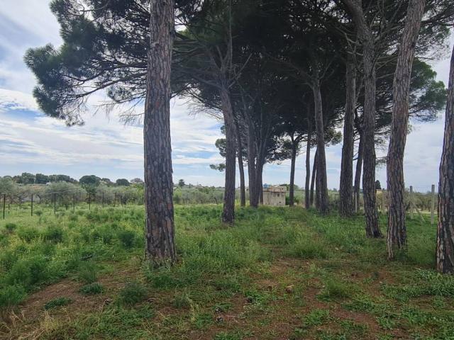 Terreno in vendita a Castelvetrano, Sicilia