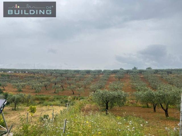 Terreno in vendita a Castelvetrano, Sicilia