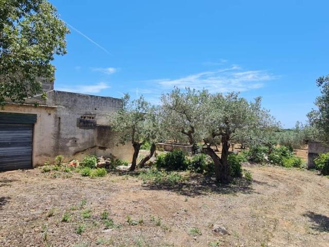 Terreno in vendita a Borgo San Francesco d’Assisi, Castelvetrano