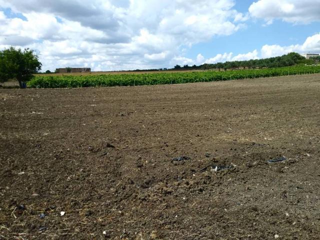 Terreno in vendita a Castelvetrano, Sicilia