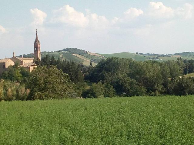Terreno in vendita a Unione di comuni Terre di Castelli, Castelvetro Di Modena