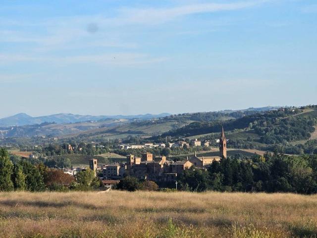 Terreno in vendita a Unione di comuni Terre di Castelli, Castelvetro Di Modena