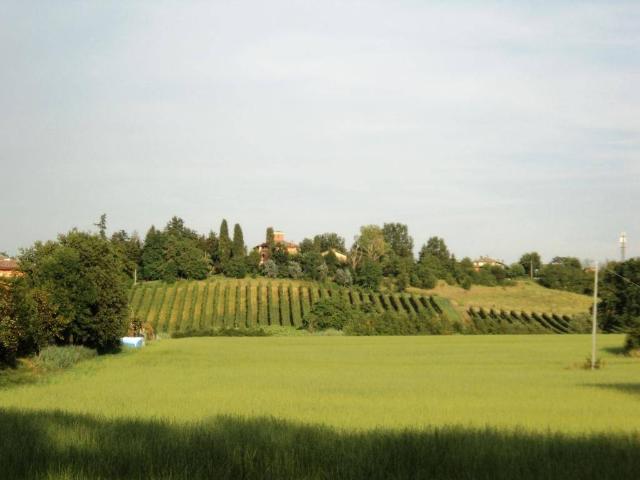 Terreno in vendita a Unione di comuni Terre di Castelli, Castelvetro Di Modena