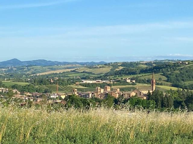 Terreno in vendita a Unione di comuni Terre di Castelli, Castelvetro Di Modena